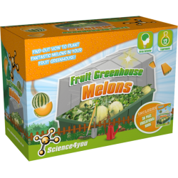 Fruit Greenhouse - Melons