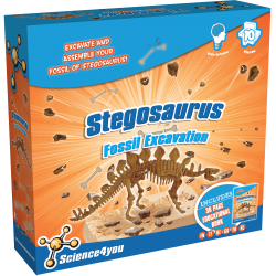 Fossil Excavation Stegosaurus